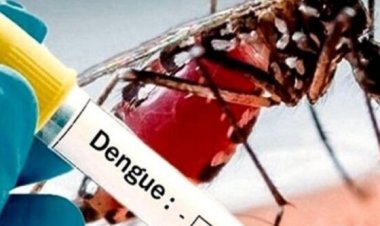 Dengue: Destinan 2 horas de una jornada escolar para capacitar docentes