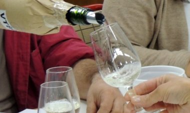 Cuatro vinos de San Juan y uno de La Rioja ganaron el Gran Oro en la Cata San Juan 2024