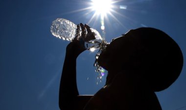 Intenso calor y brisa del norte para este jueves