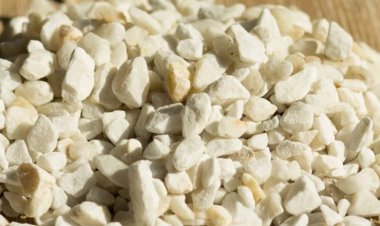 Zeolita: el mineral aliado en la salud de los cultivos