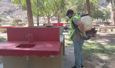 Rivadavia se prepara para el verano con trabajos de desinfección en el Camping  Municipal