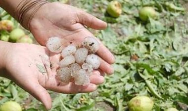 Nuevamente el granizo afectó varios departamentos