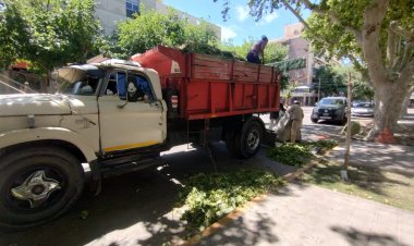 Operativo especial: la Ciudad trabaja intensamente tras la tormenta