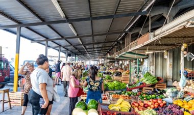 Trabajos de embellecimiento y mejoras en la Feria Municipal
