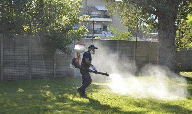 Rivadavia pone en marcha el programa contra el Dengue