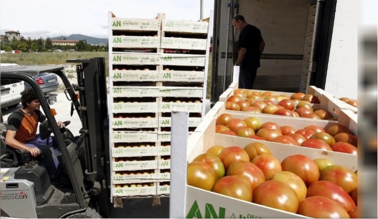 Flexibilizan la importación de alimentos para forzar la baja de precios