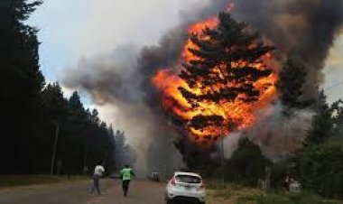 Incendios fuera de control también en Bariloche