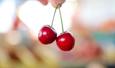 Estos son los precios de la Feria y Mercado de Abasto de la Ciudad