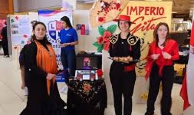 Cuales son los institutos habilitados de educación no formal