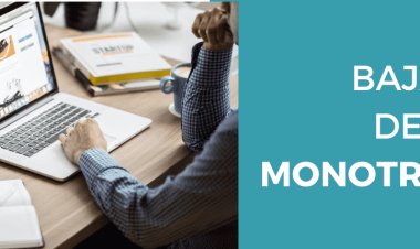 ARCA: los detalles de los 400.000 monotributistas dados de baja