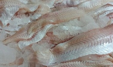 Recomendaciones y cuidados al momento de adquirir pescados en Semana Santa