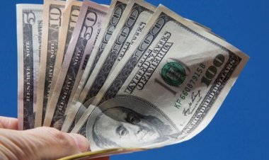 Precio del dólar sin cepo: quién puede y quién no puede comprar dólar oficial