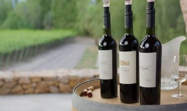 Tres Bodegas sanjuaninas ya tienen su sello Vitivinicultura Argentina Sostenible