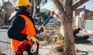 Rawson capacita en poda y manejo seguro de máquinas