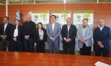 En San Juan se elegirán los mejores aceites de oliva del hemisferio sur