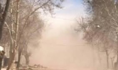 Alerta amarilla por viento Zonda