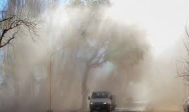 Alerta amarillo por llegada de viento Zonda