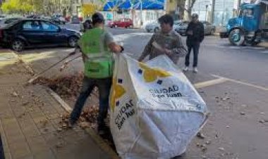 La Municipalidad de la Capital respondió rápidamente tras el paso del viento