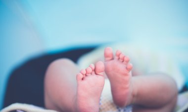 Hallaron un feto muerto en Caucete