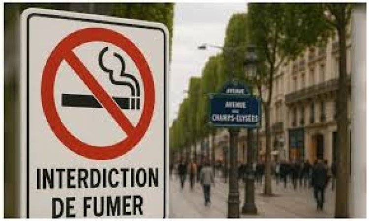 Francia prohíbe fumar en playas, parques y escuelas: multa de €135