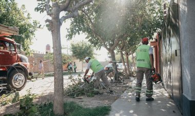 Como funcionarán los servicios durante el fin de semana largo