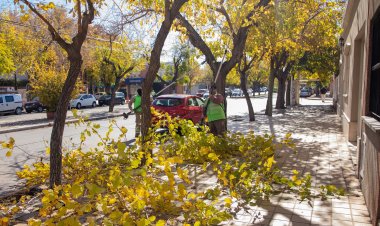Cronograma de Limpieza y Poda del 30 de junio al 6 de julio