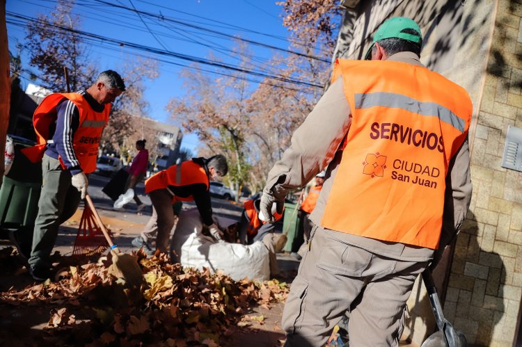 Cronograma de Limpieza y Poda del 16 al 22 de junio