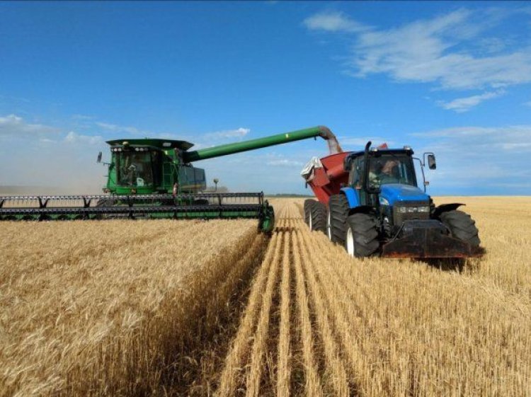 El Gobierno vuelve a aumentar las retenciones al campo