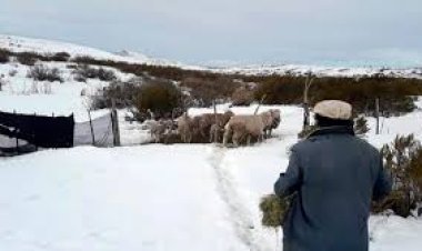 Maquinchao, el pueblo más frío del país: -18°, agua congelada y leña a precios imposibles