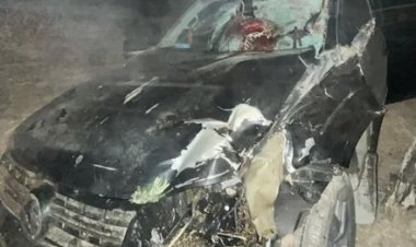 Una camioneta atropelló a un caballo en plena Ruta 40 y dejó varios heridos