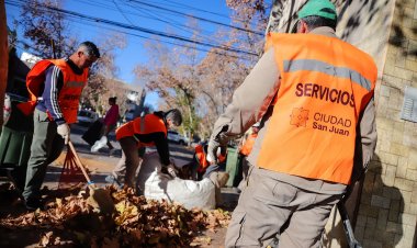 Continúa el operativo de poda y limpieza en distintos barrios