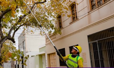Continúa el operativo de poda en la Ciudad de San Juan