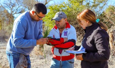 En el marco del Plan Triguero Jáchal acompaña a productores