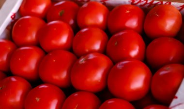 Feria y Mercado de Abasto: buenos precios y la mejor calidad en un solo lugar