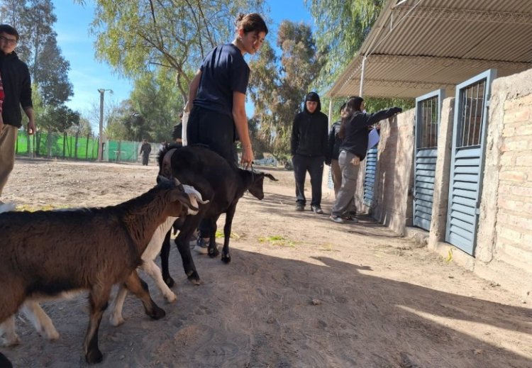 Así será la expo de las escuelas agrotécnicas