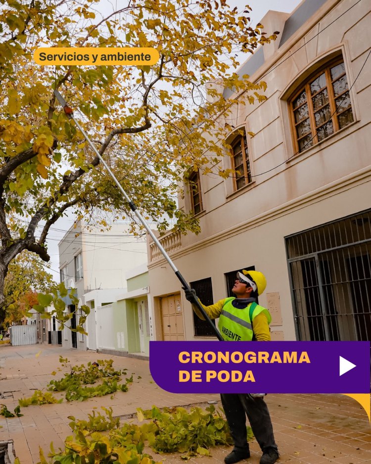 Continúa el operativo de poda en la Ciudad de San Juan