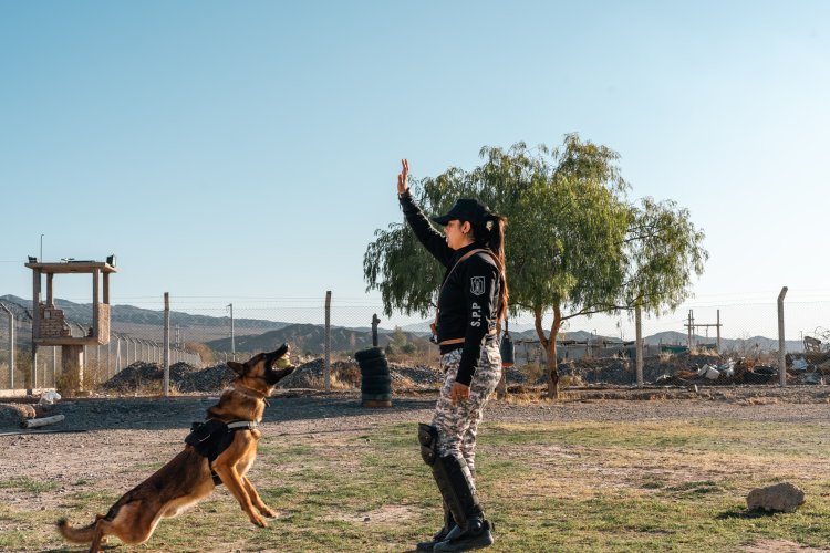 Cuidar y proteger: el día a día de los canes del Servicio Penitenciario