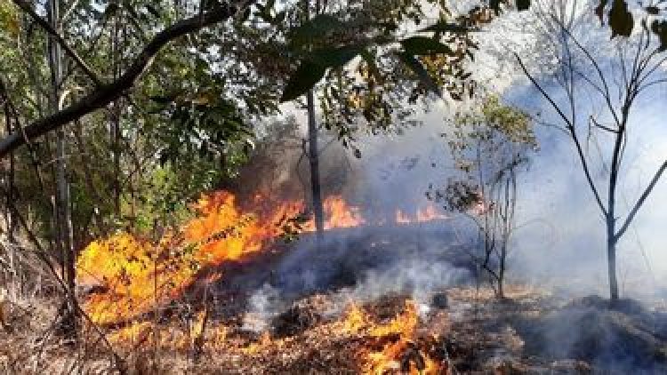 Se registraron más de 20 incendios simultáneos por el Zonda en San Juan