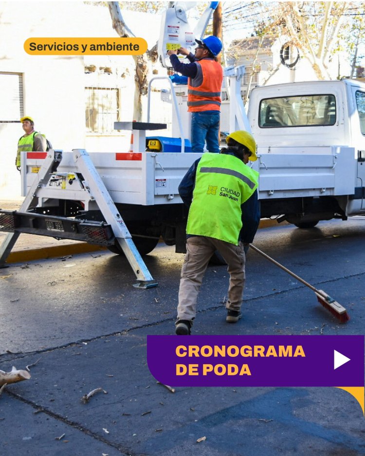 El municipio de la Ciudad avanza con el cronograma semanal de mantenimiento del arbolado urbano
