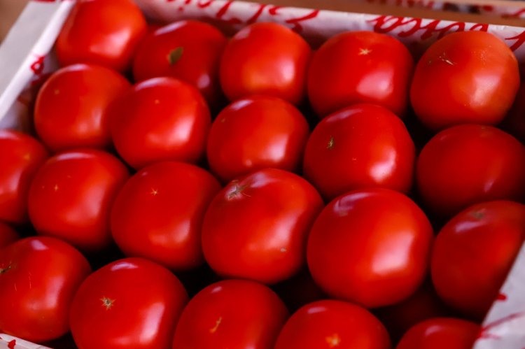 Feria y Mercado de Abasto: buenos precios y la mejor calidad en un solo lugar