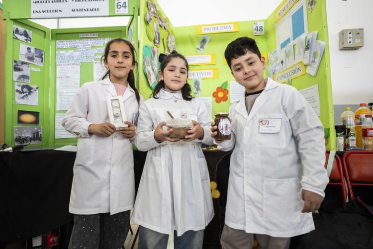 Feria de Ciencias: 122 proyectos avanzaron a la instancia provincial