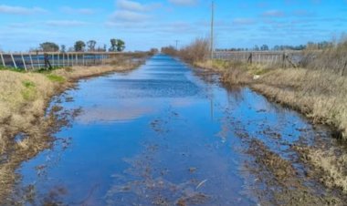Declaran la emergencia agropecuaria en Buenos Aires y San Juan