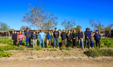 Jornada de Capacitación en Huerta Agroecológica