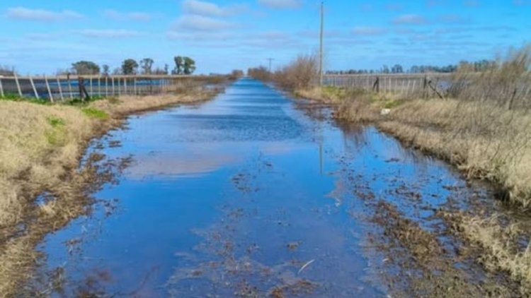 Declaran la emergencia agropecuaria en Buenos Aires y San Juan