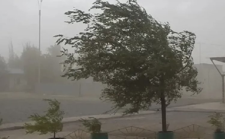 Alerta amarilla por viento en San Juan