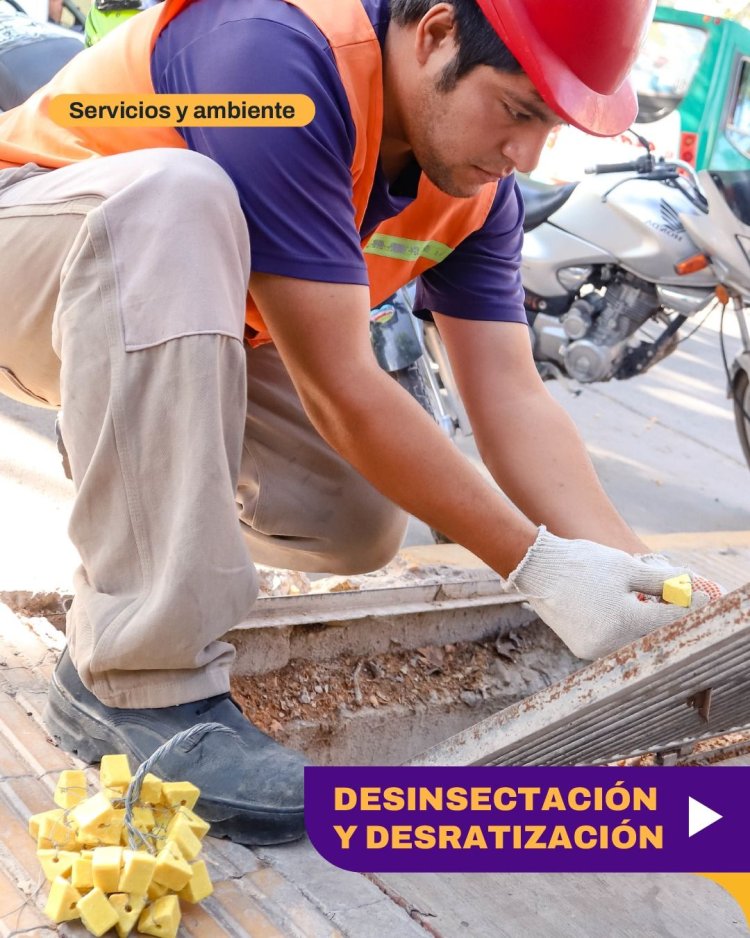 Cronograma de Desinsectación y Desratización en la Ciudad