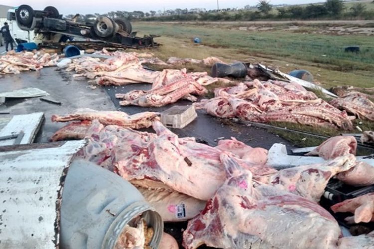 Un camión con carne volcó en Mendoza y la gente intentó llevarse las medias reces