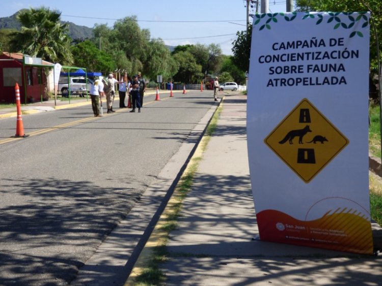 San Juan elabora el primer mapa provincial de fauna atropellada