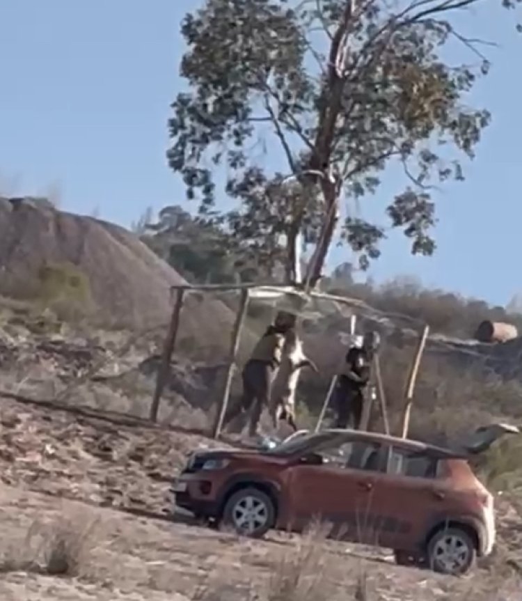 Parecía un ritual  y resultó ser una práctica de investigación forense