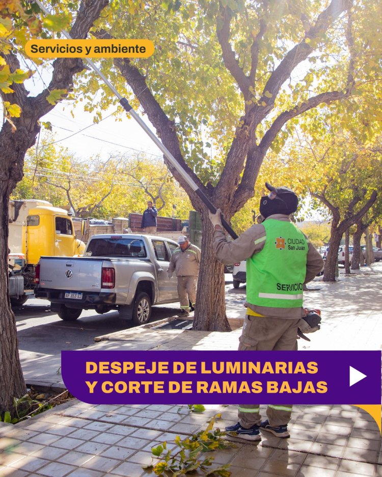 Operativo de despeje de luminarias y corte de ramas en Capital